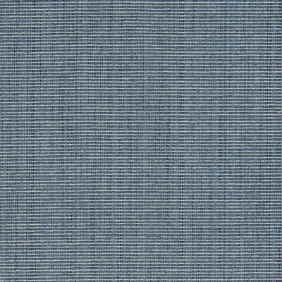Charlotte Fabrics R266 Chambray