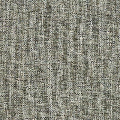 Charlotte Fabrics R305 Steel