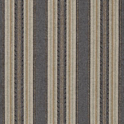 Charlotte Fabrics R431 Denim Stripe
