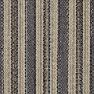 Charlotte Fabrics R431 Denim Stripe