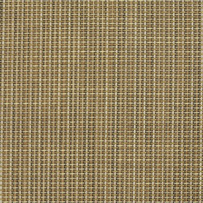 Charlotte Fabrics S102 Verde Verde