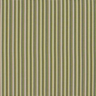 Charlotte Fabrics S104 Kiwi Kiwi