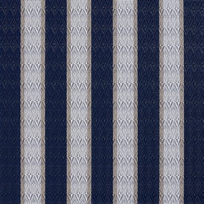 Charlotte Fabrics S116 Cobalt Stripe Cobalt Stripe