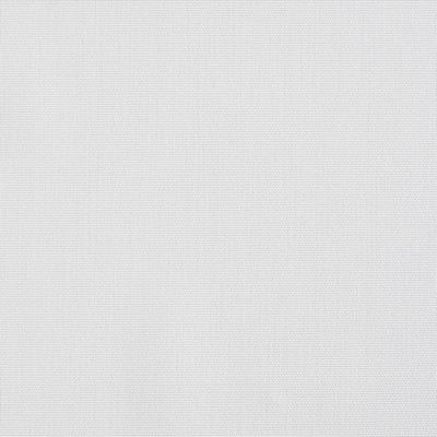 Charlotte Fabrics S131 Ivory Ivory