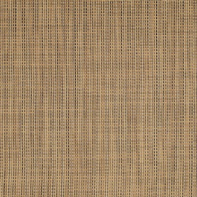 Charlotte Fabrics S319 Chestnut