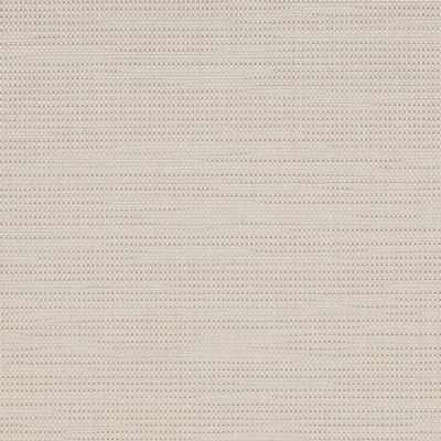 Charlotte Fabrics S324 Putty