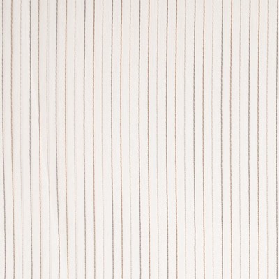 Charlotte Fabrics SH160 Hazelwood