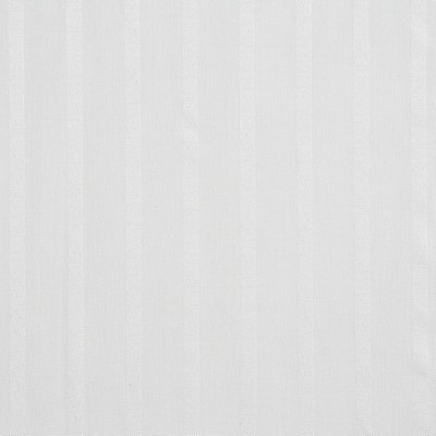 Charlotte Fabrics SH21 Lace Lace