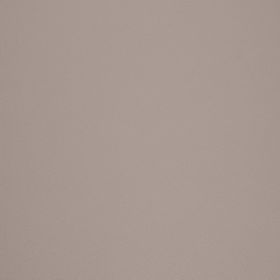 Charlotte Fabrics V1001 Dove