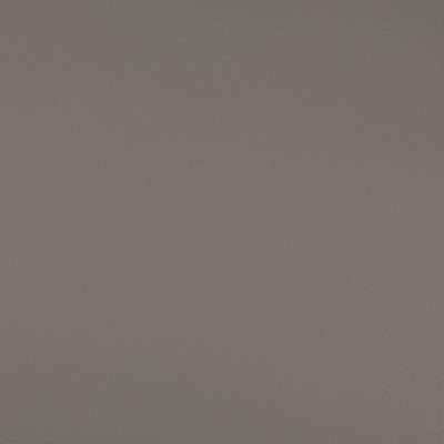 Charlotte Fabrics V1003 Flint