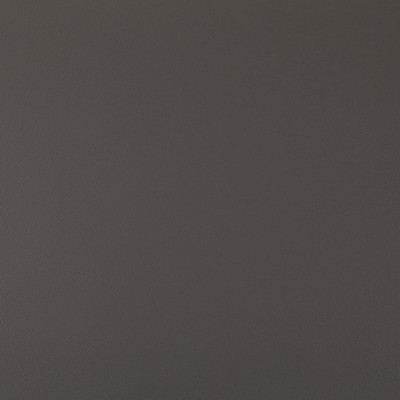 Charlotte Fabrics V1005 Steel