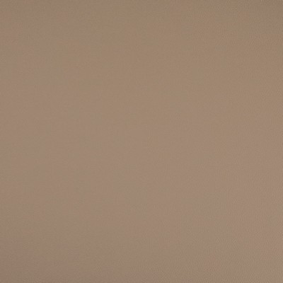 Charlotte Fabrics V1006 Hazelwood