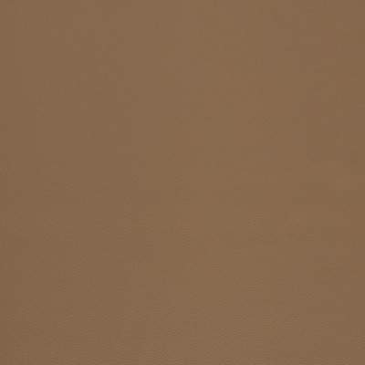 Charlotte Fabrics V1007 Mushroom