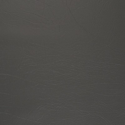 Charlotte Fabrics V1010 Shadow