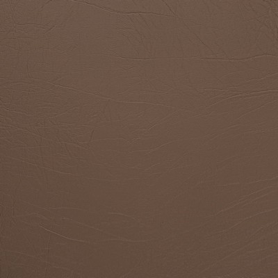 Charlotte Fabrics V1012 Hazelnut