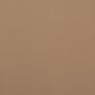 Charlotte Fabrics V1013 Tan