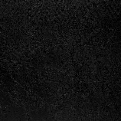 Charlotte Fabrics V1021 Midnight