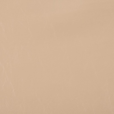 Charlotte Fabrics V1030 Buttermilk