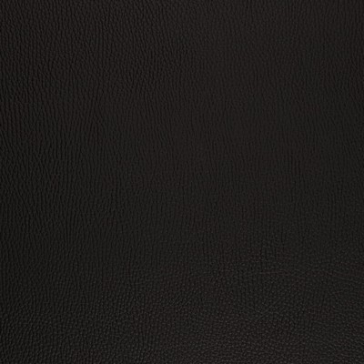 Charlotte Fabrics V1044 Onyx