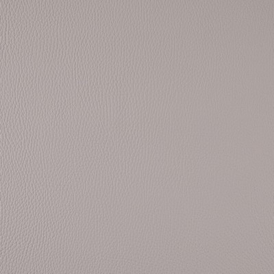 Charlotte Fabrics V1048 Sterling