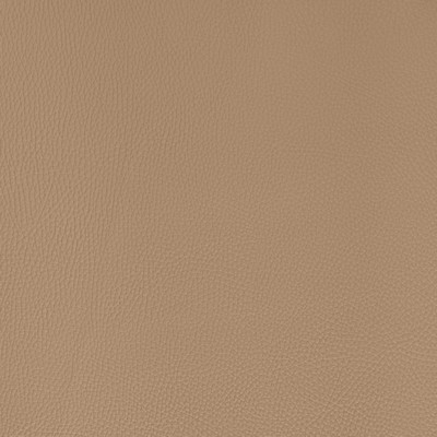 Charlotte Fabrics V1049 Wheat