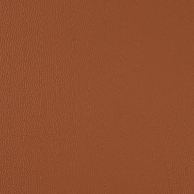 Charlotte Fabrics V1051 Spice