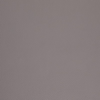 Charlotte Fabrics V1054 Dolphin