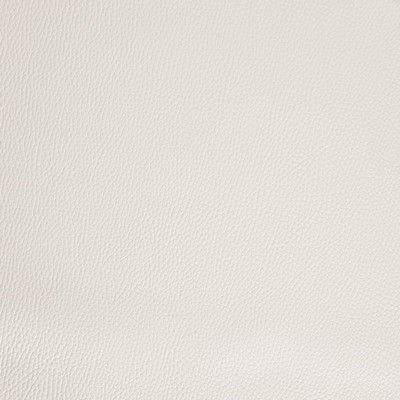 Charlotte Fabrics V1055 Cotton