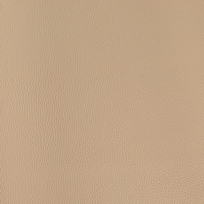 Charlotte Fabrics V1057 Parchment