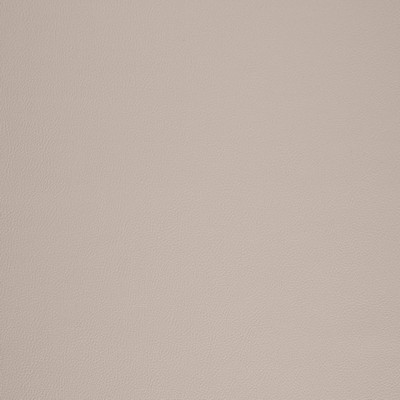 Charlotte Fabrics V1058 Putty