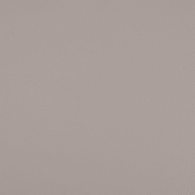 Charlotte Fabrics V1059 Ash