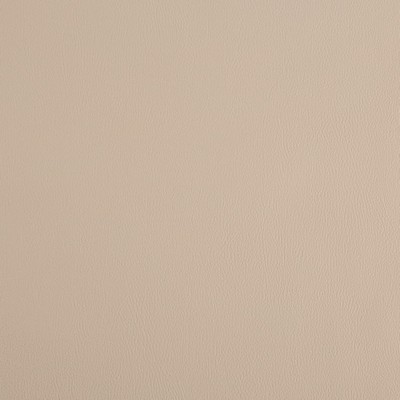 Charlotte Fabrics V1060 Snow