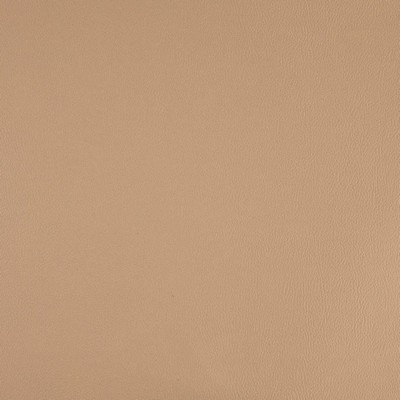 Charlotte Fabrics V1063 Fawn