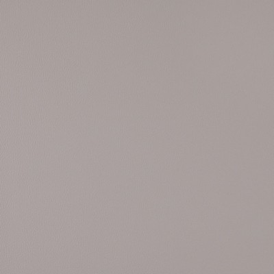 Charlotte Fabrics V1064 Zinc