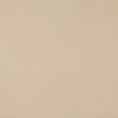 Charlotte Fabrics V1065 Cream