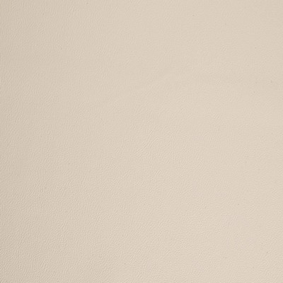 Charlotte Fabrics V1066 Ivory