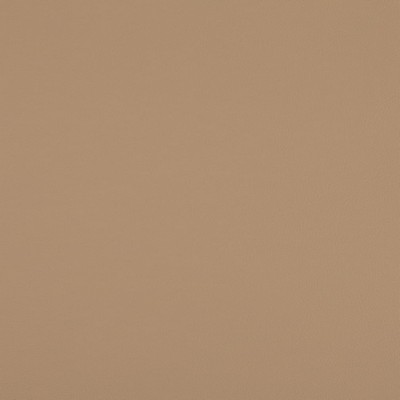 Charlotte Fabrics V1067 Latte