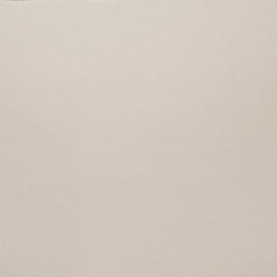 Charlotte Fabrics V1068 White