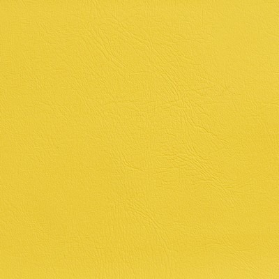 Charlotte Fabrics V142 Canary Search Results