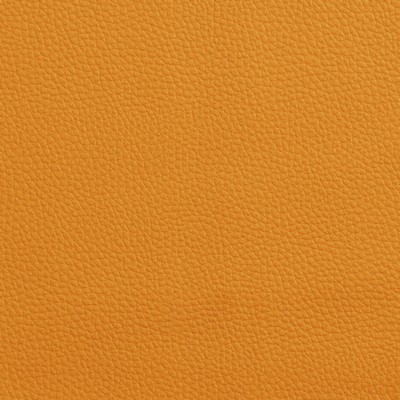 Charlotte Fabrics V151 Mango