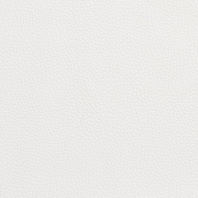 Charlotte Fabrics V152 White