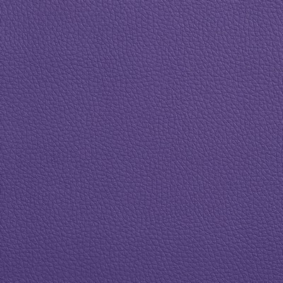 Charlotte Fabrics V153 Plum