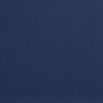 Charlotte Fabrics V154 Navy