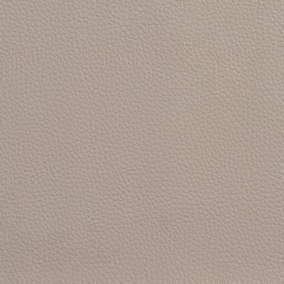 Charlotte Fabrics V157 Taupe