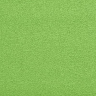 Charlotte Fabrics V164 Lime