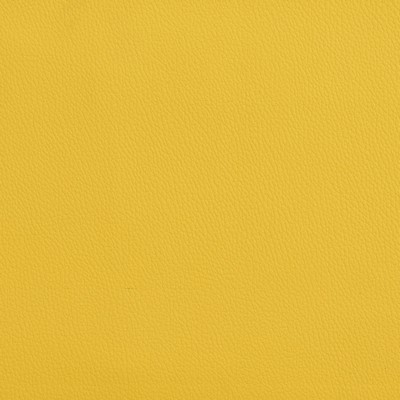 Charlotte Fabrics V165 Sunshine