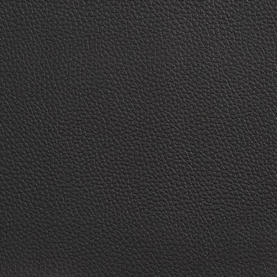 Charlotte Fabrics V166 Black