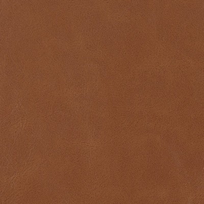 Charlotte Fabrics V205 Pecan