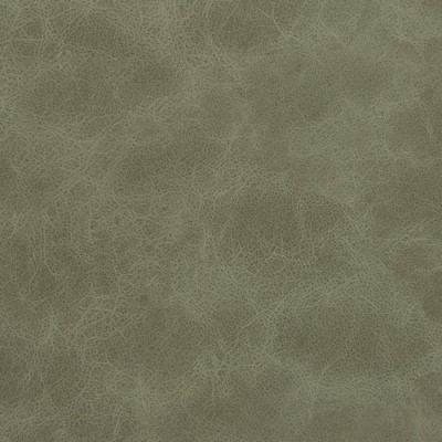 Charlotte Fabrics V215 Mountain