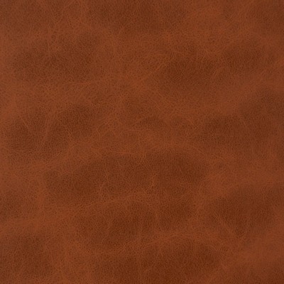 Charlotte Fabrics V221 Cinnamon